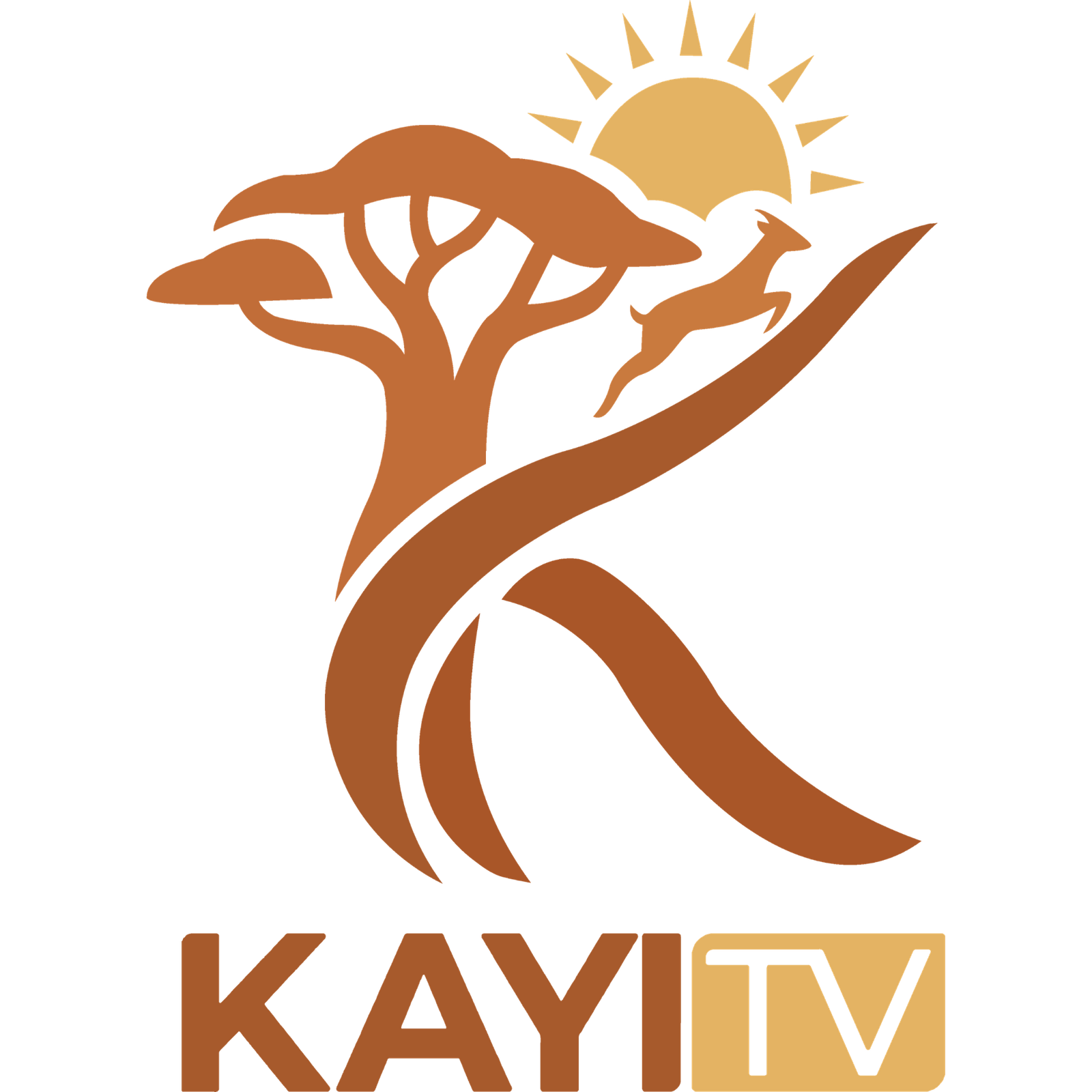 KAYI TV logosu