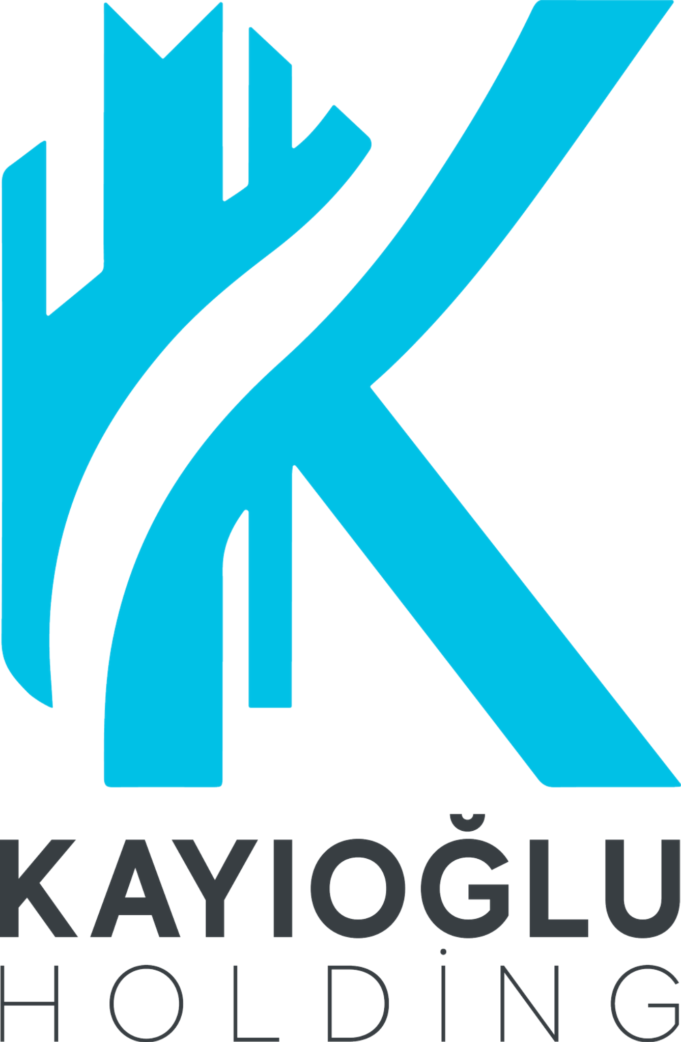 Kayıoğlu Holding logosu
