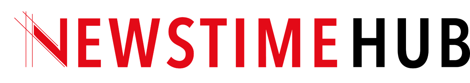 NEWSTIMEHUB logosu